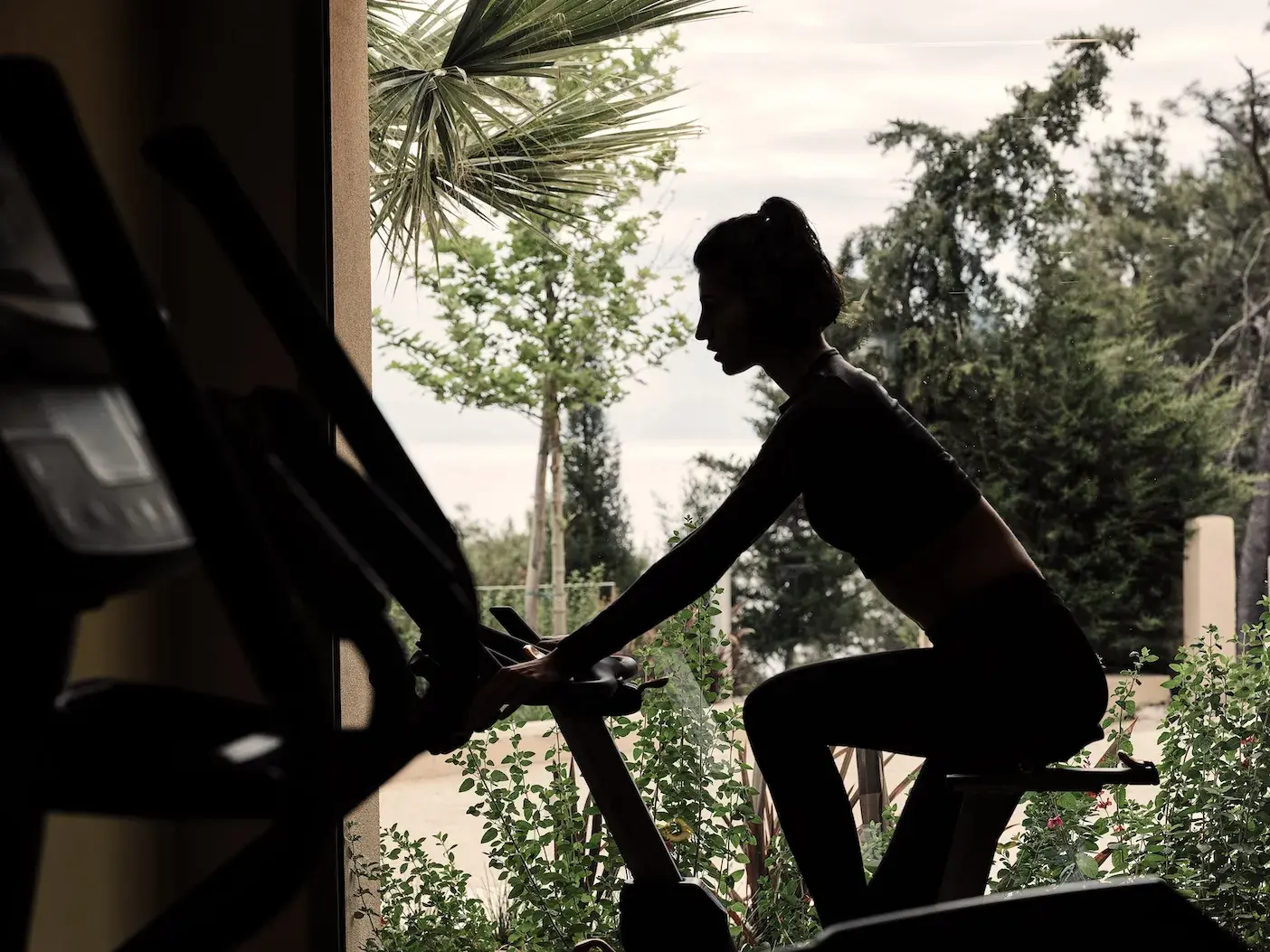 Wellness & Gym